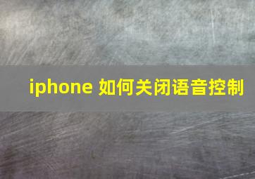 iphone 如何关闭语音控制